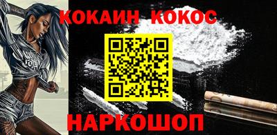 крисы Можга