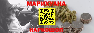 крисы Можга
