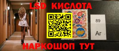 крисы Можга