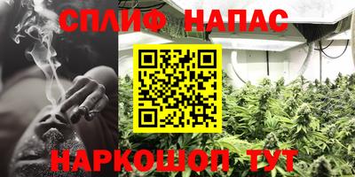 молекула духа Моздок