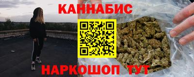 крисы Можга
