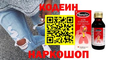 крисы Можга