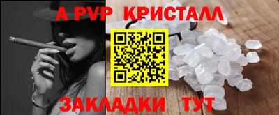 крисы Можга