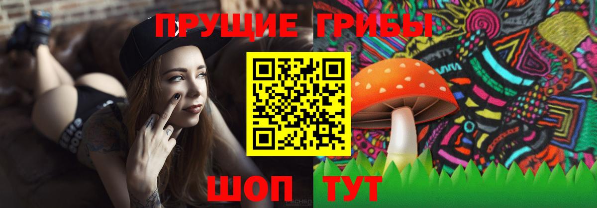 Галлюциногенные грибы Psilocybe  Вход с VPN  Чайковский  купить   Галлюциногенные грибы мицелий 