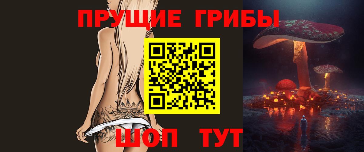 Галлюциногенные грибы Psilocybine cubensis Чайковский